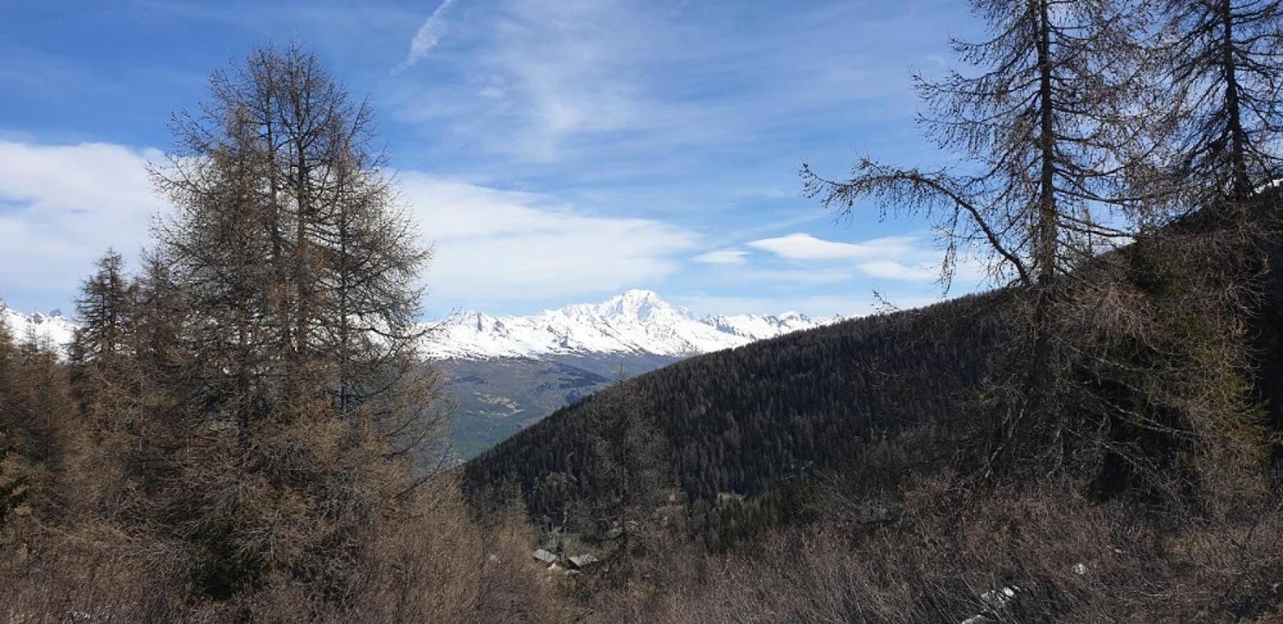 Residence Plagne Lauze - Maeva Home - Studio 2 Personnes - Selection Mae-9201 Macot-la-Plagne Luaran gambar